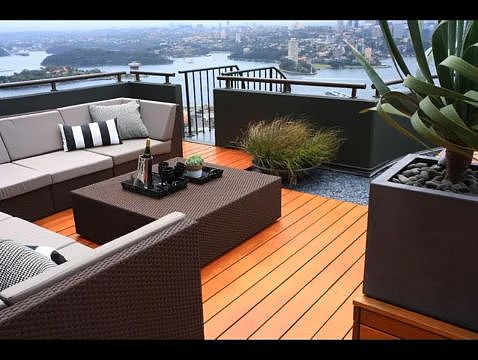 天台上，花园中！