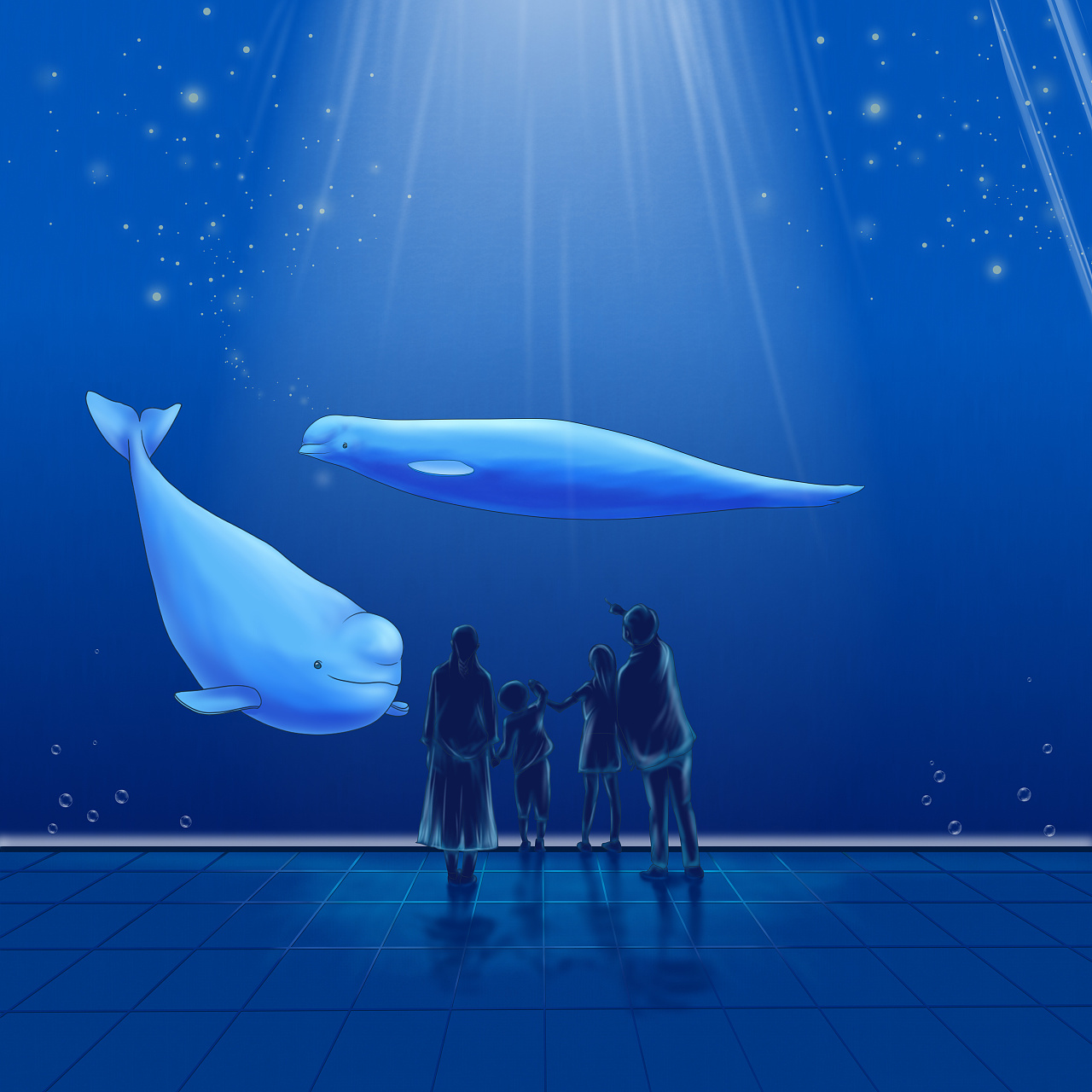 白鲸插画|插画|创作习作|小陈君 - 原创作品 - 站酷 (zcool)