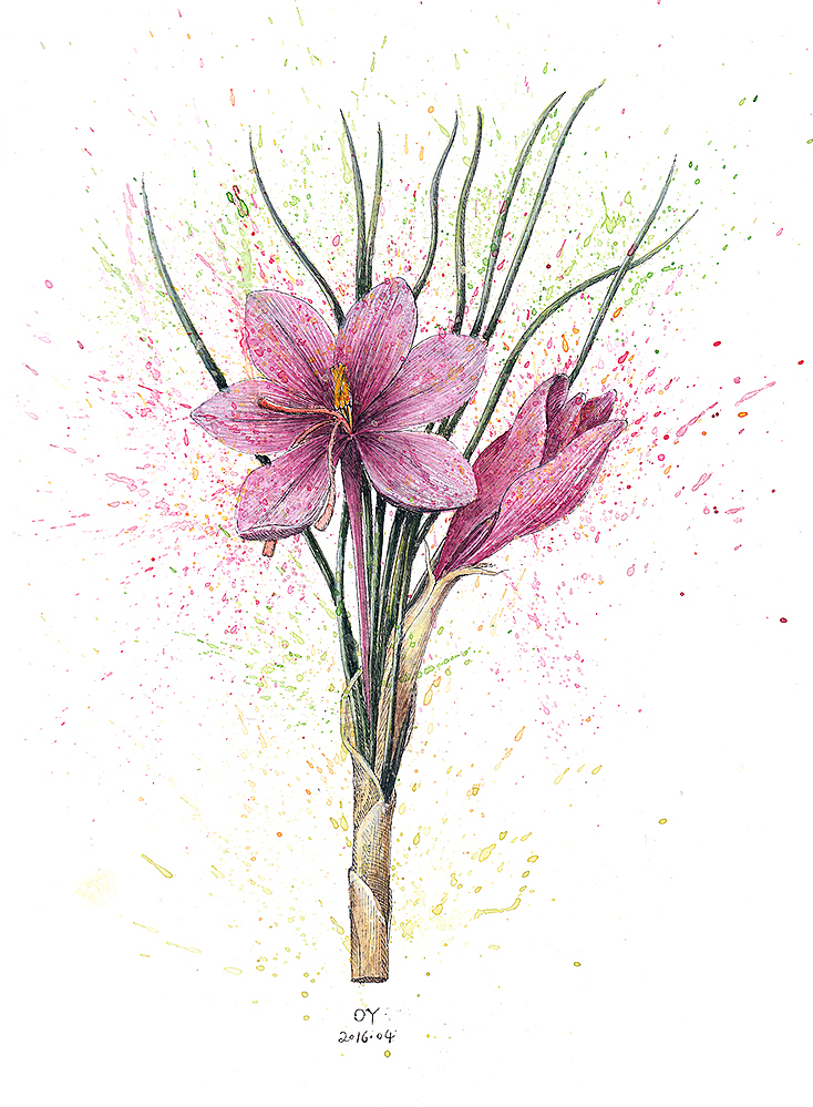 OY手绘·一天一画50（图ZNDY2MDEzMDg=） - 艺术插画 - 站酷设计师欧阳鹏杰_OY原创素材 - 站酷ZCOOL