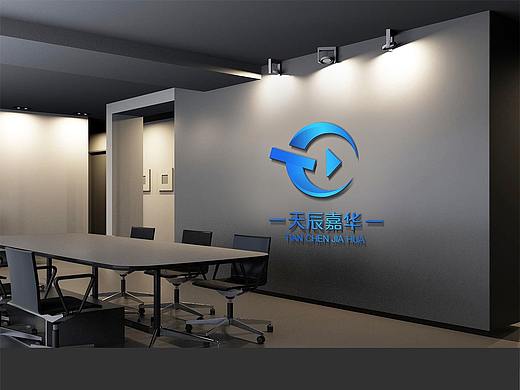 天辰嘉华logo VI包装