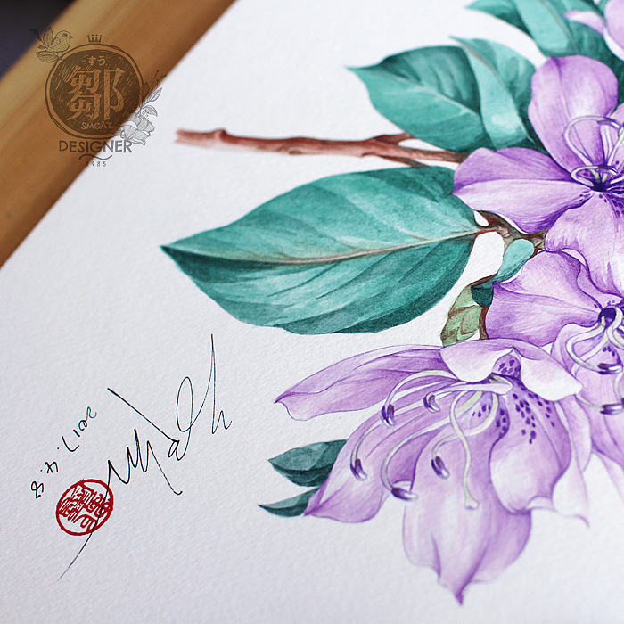 杜鹃花系列——马银花（图ZNzc5OTI5NzI=） - 商业插画 - 站酷设计师鄒慶原创素材 - 站酷ZCOOL
