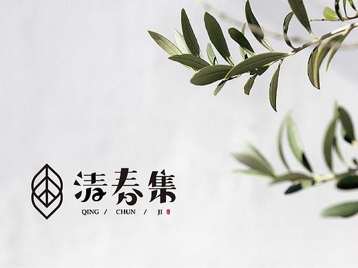 药妆logo/新中式/春/中医/中药/朴素/文艺/化妆品