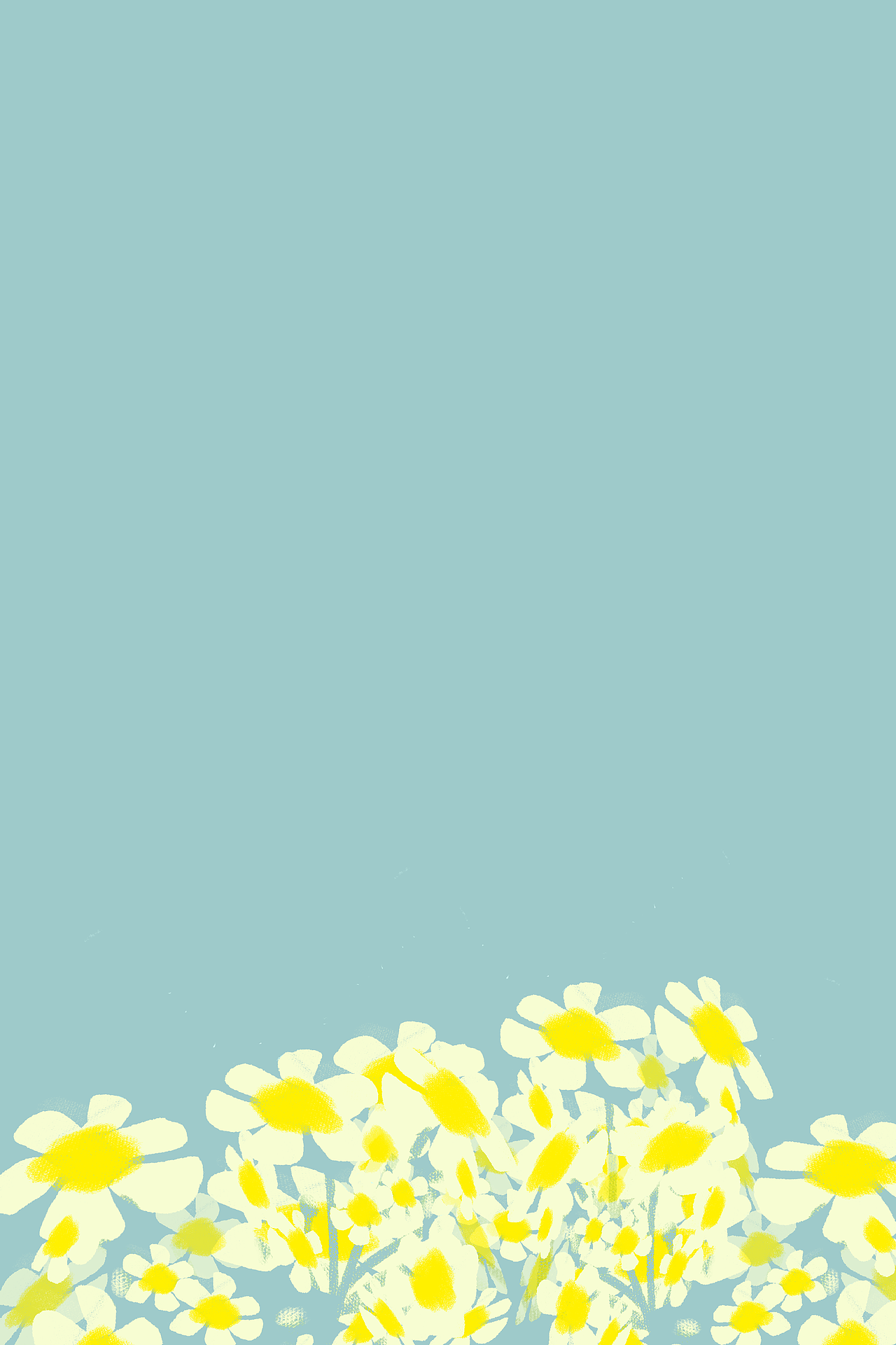 洋甘菊|插画|创作习作|suriaddoil_原创作品-站酷zcool