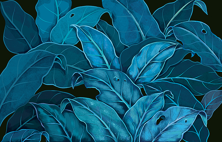 润物设计2020年插画2（图ZMjQyMjgwOTUy） - 商业插画 - 站酷设计师润物志原创素材 - 站酷ZCOOL