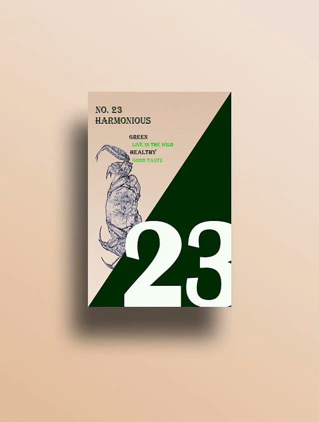 国风设计:色彩+视觉