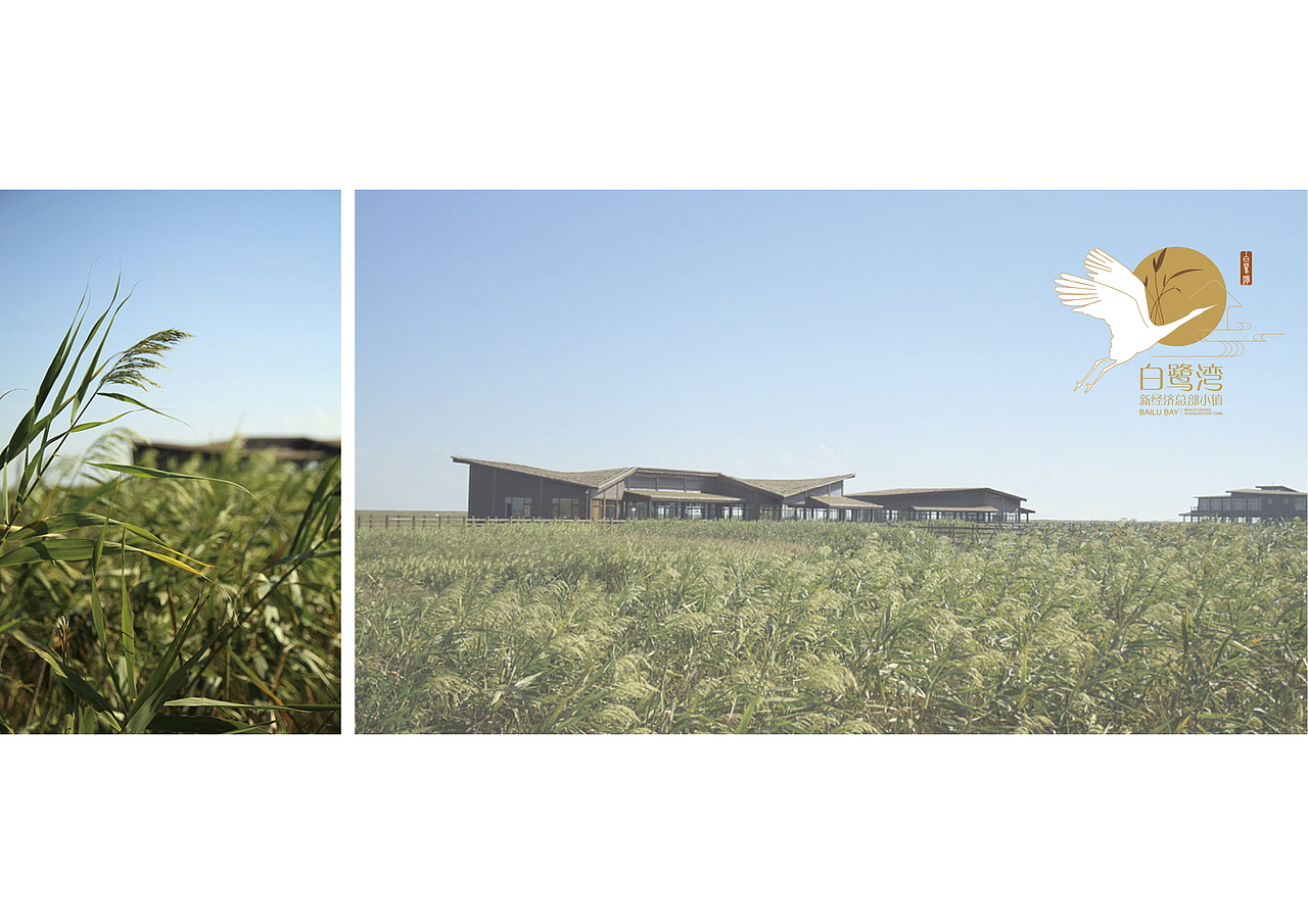 成都白鹭湾新经济总部小镇（图ZMjA4MjAxNjA0） - 品牌 - 站酷设计师尚策品牌设计原创素材 - 站酷ZCOOL