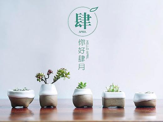 多肉植物(移动端)
