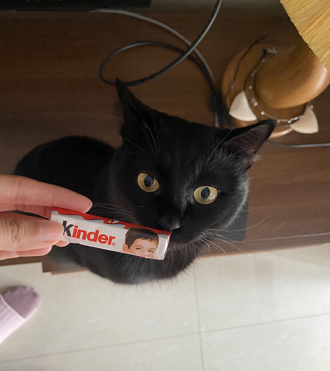 寶子哥的日常（圖ZMjY0NjExMzY4） - 創(chuàng)作習(xí)作 - 站酷設(shè)計(jì)師金溫野原創(chuàng)素材 - 站酷ZCOOL