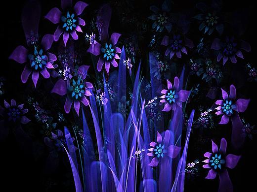 2021年度分形作品集