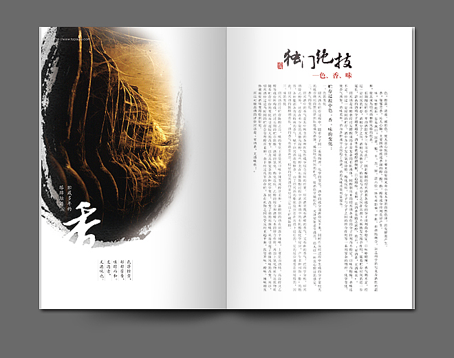 塔牌绍兴酒画册