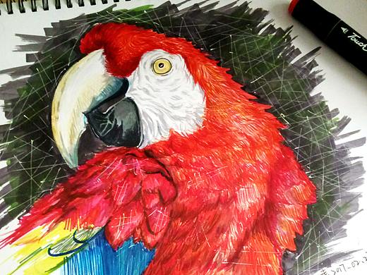 动物马克笔练习