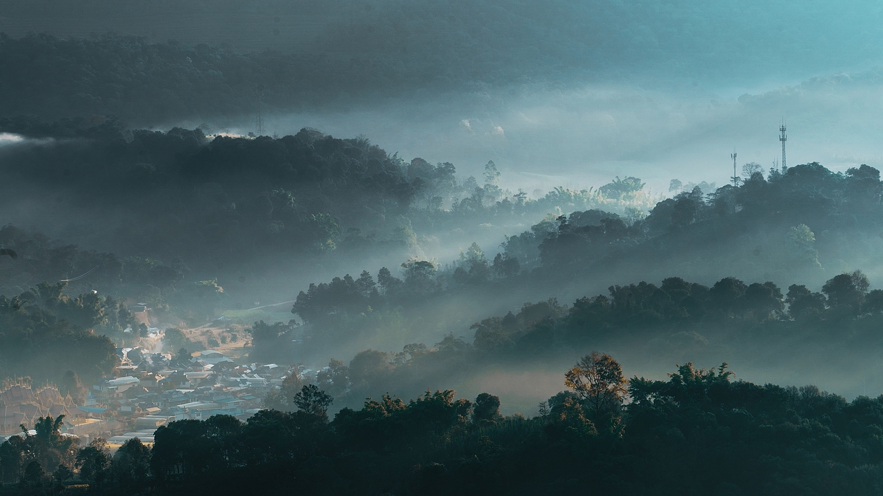 吉光凤羽 普洱茶广告片