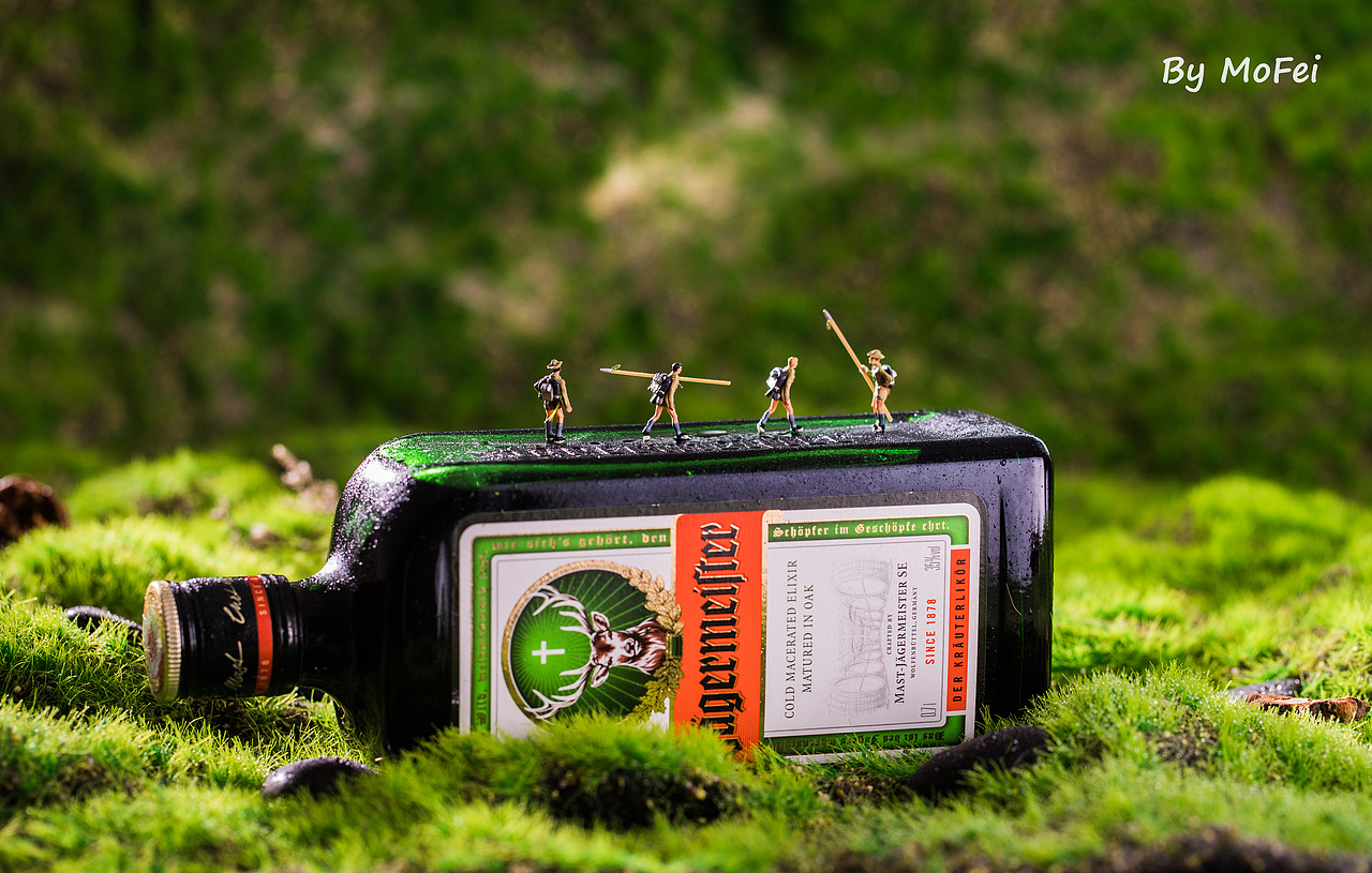 五月,迷失在绿野仙踪(洋酒拍摄)