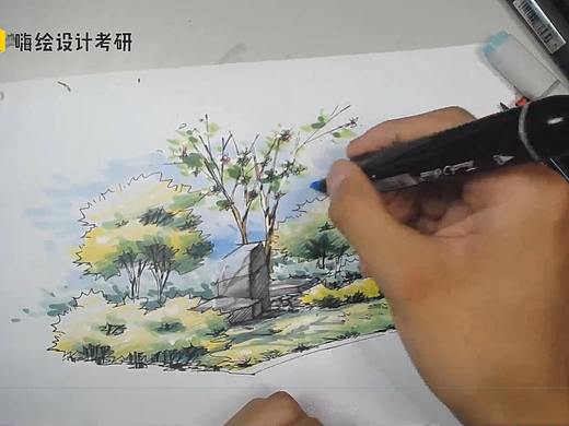 景观设计手绘-植物组合场景 线稿+马克笔全过程带解析
