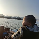 疯狂加速的头像