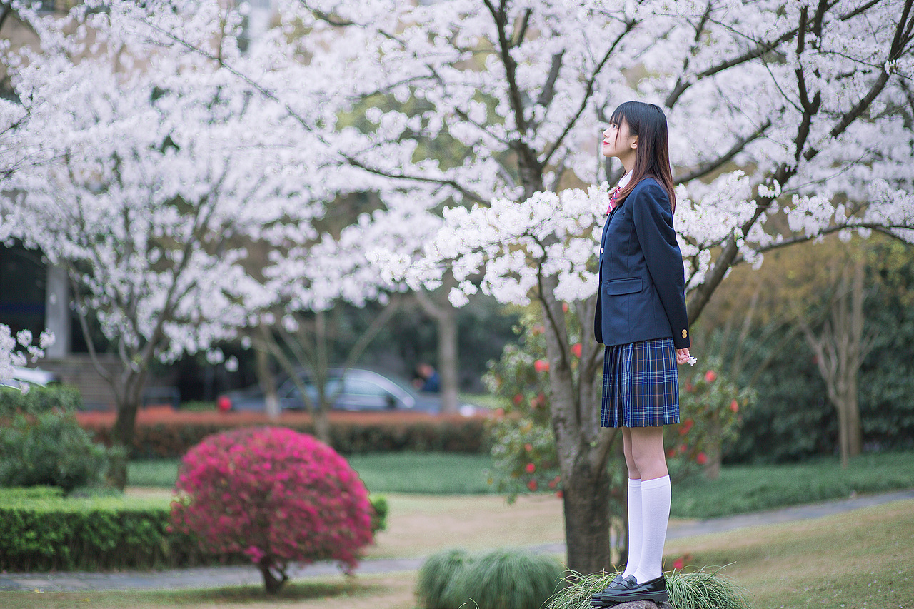 三月樱花（图ZMTU0MDUxNjY0） - 人像摄影 - 站酷设计师摄影师红茶原创素材 - 站酷ZCOOL