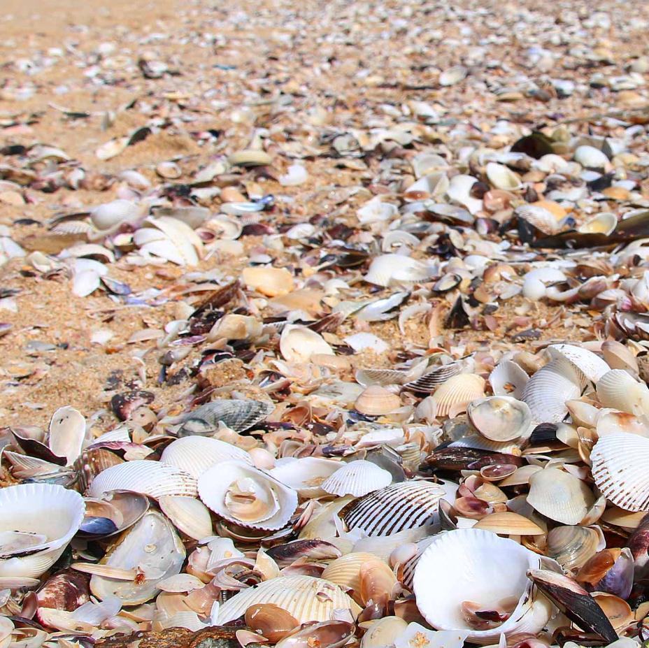 愛卜靈卜靈的閃光的個(gè)人主頁（背景預(yù)覽） - 主頁背景設(shè)置 - 站酷設(shè)計(jì)師愛卜靈卜靈的閃光原創(chuàng)素材 - 站酷ZCOOL