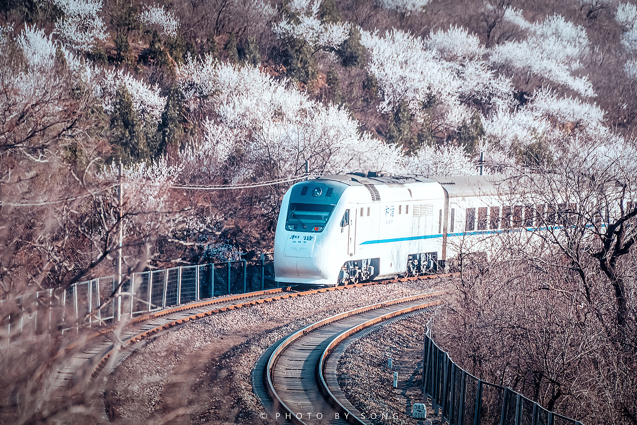 开往春天的火车（图ZMjkzMTQ4Mjky） - 风光摄影 - 站酷设计师Vincent_Song原创素材 - 站酷ZCOOL