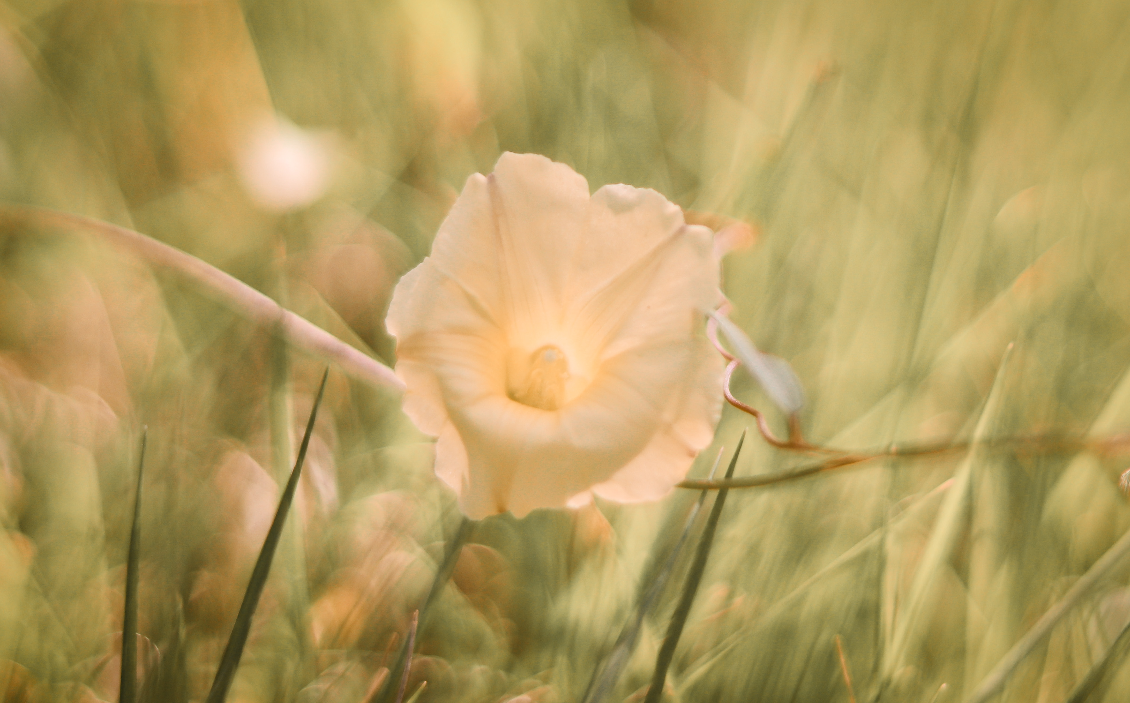 Yurong0003的個人主頁（封面預(yù)覽） - 主頁封面設(shè)置 - 站酷設(shè)計師Yurong0003原創(chuàng)素材 - 站酷ZCOOL