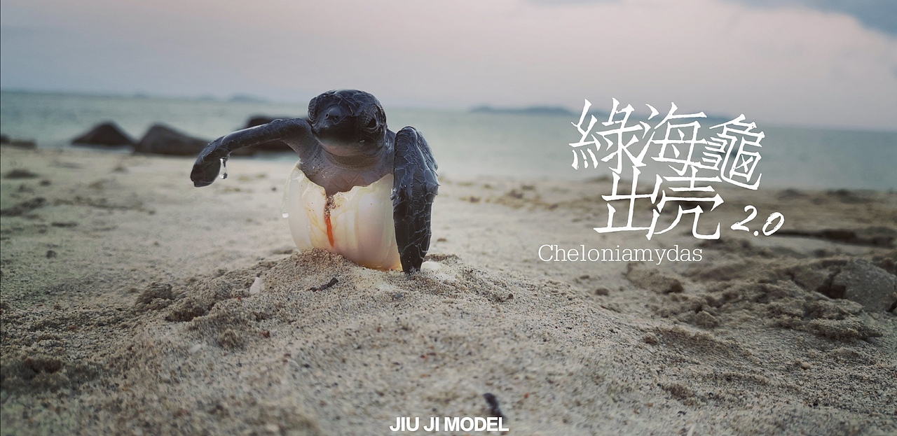 究极model-绿海龟出壳2.0