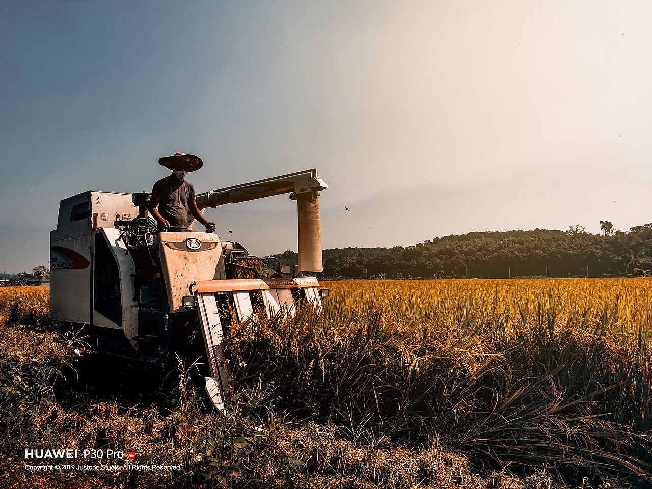 HUAWEI P30 pro 手机摄影集