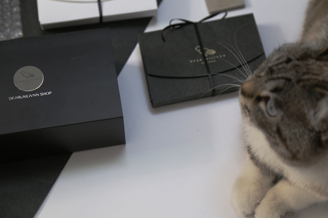 DEARLAILIVNN STUDIO VIS 2016