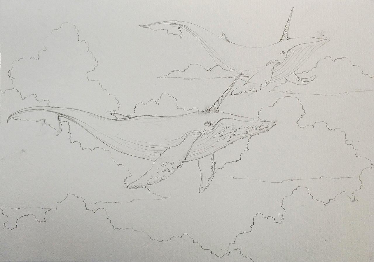 鲲|插画|创作习作|山马霖_原创作品-站酷zcool