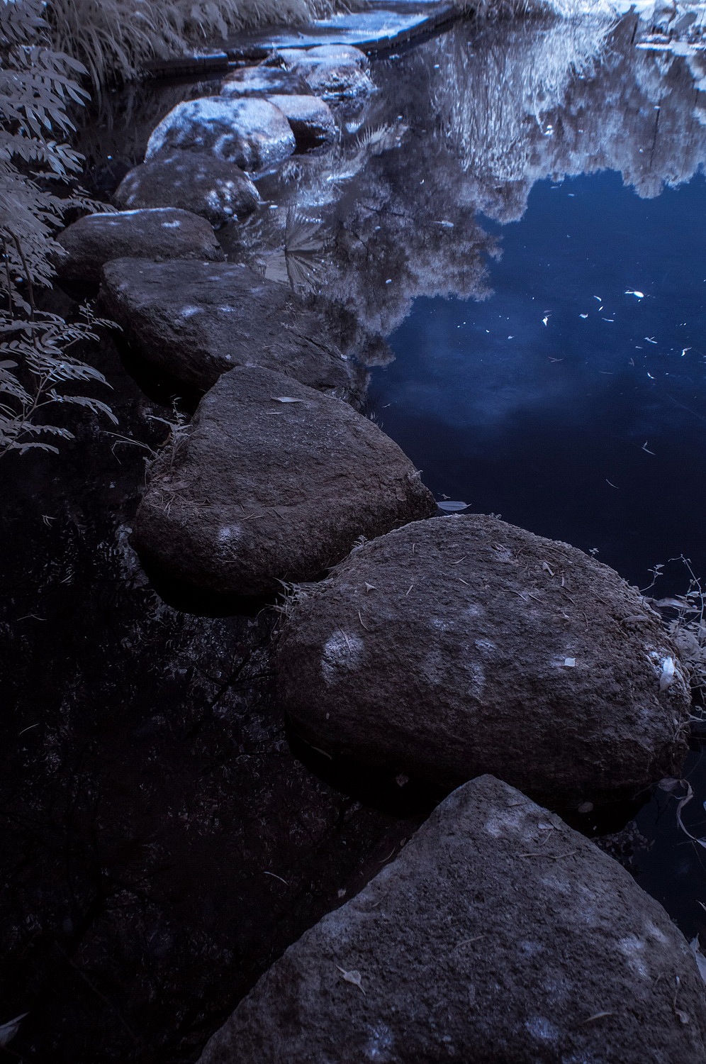 假如深圳下雪了