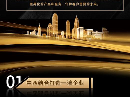 复星保德信黑金H5及配套长图