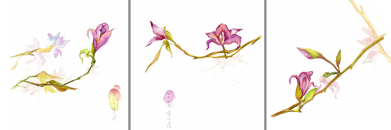 让我送你花一朵之紫荆花开