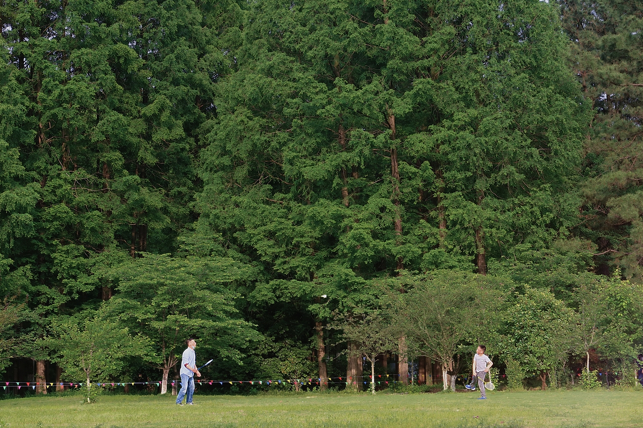 逛公园才是正经事