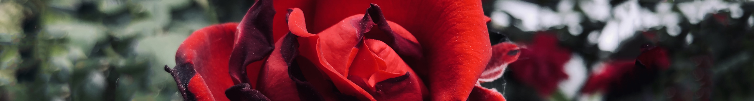 张炸克的个人主页（封面预览） - 主页封面设置 - 站酷设计师张炸克原创素材 - 站酷ZCOOL