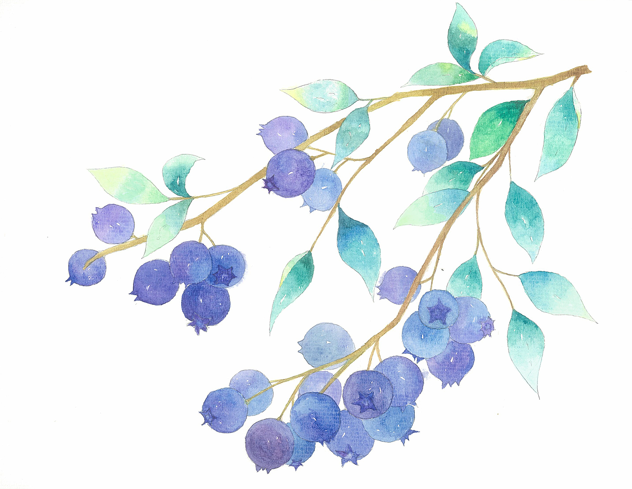 森之果酱包装设全系列