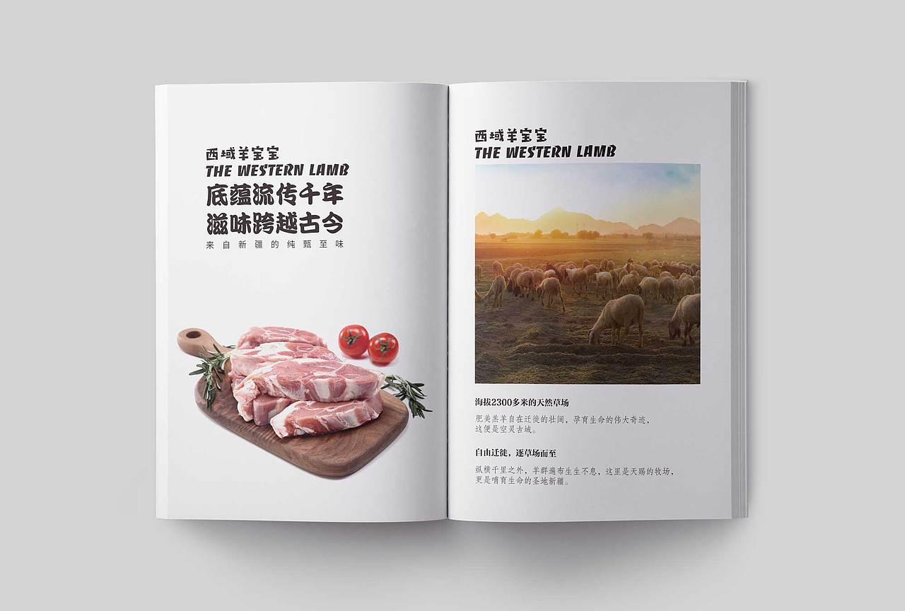 食品画册设计