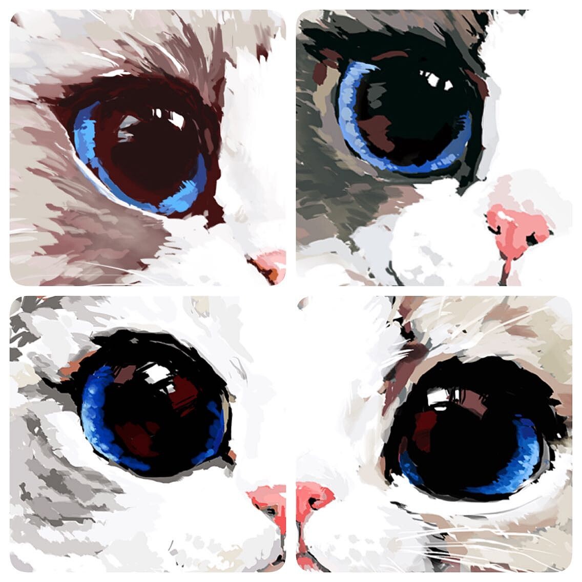 canCan画┃阿猫阿狗们（第一期）（图ZMjc1MjUzOTI=） - 商业插画 - 站酷设计师__canCan__原创素材 - 站酷ZCOOL
