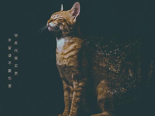 公益海報(bào)（個(gè)人主頁(yè)-ZNDY1MzQ3Mjg=） - 海報(bào) - 站酷設(shè)計(jì)師幕本森原創(chuàng)素材 - 站酷ZCOOL