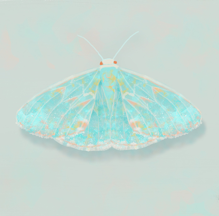 一些杂图和一些小练习（图ZMjkxNTAzMTQw） - 创作习作 - 站酷设计师白木彦原创素材 - 站酷ZCOOL