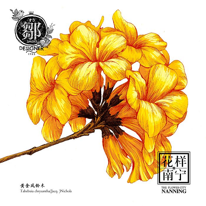花卉插画及邮折设计（图ZNTE5MTE4MzI=） - 商业插画 - 站酷设计师鄒慶原创素材 - 站酷ZCOOL