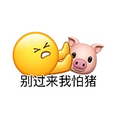 zifei啊的头像