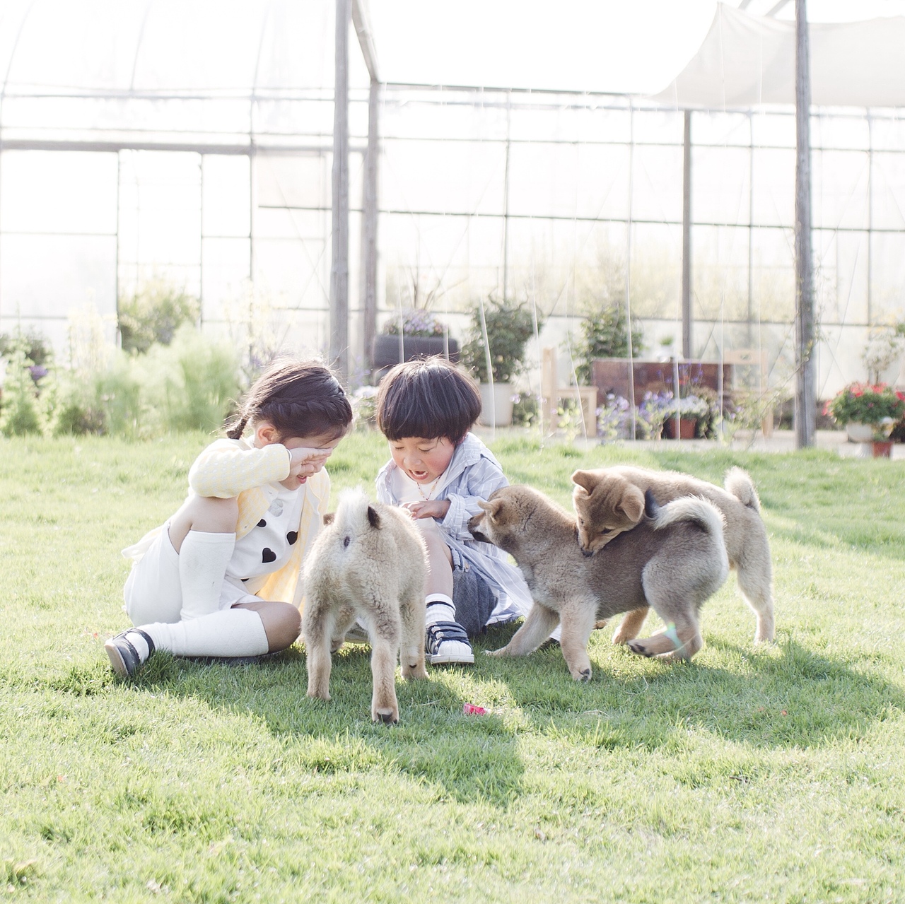 夏日童真（图ZMjEwNDEyNDU2） - 人像摄影 - 站酷设计师摄影师Amphe原创素材 - 站酷ZCOOL