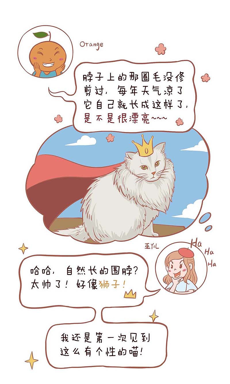 猫友聊天日常--Orange's cat