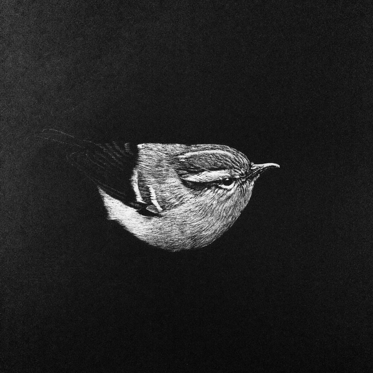 刮画《觅知音》