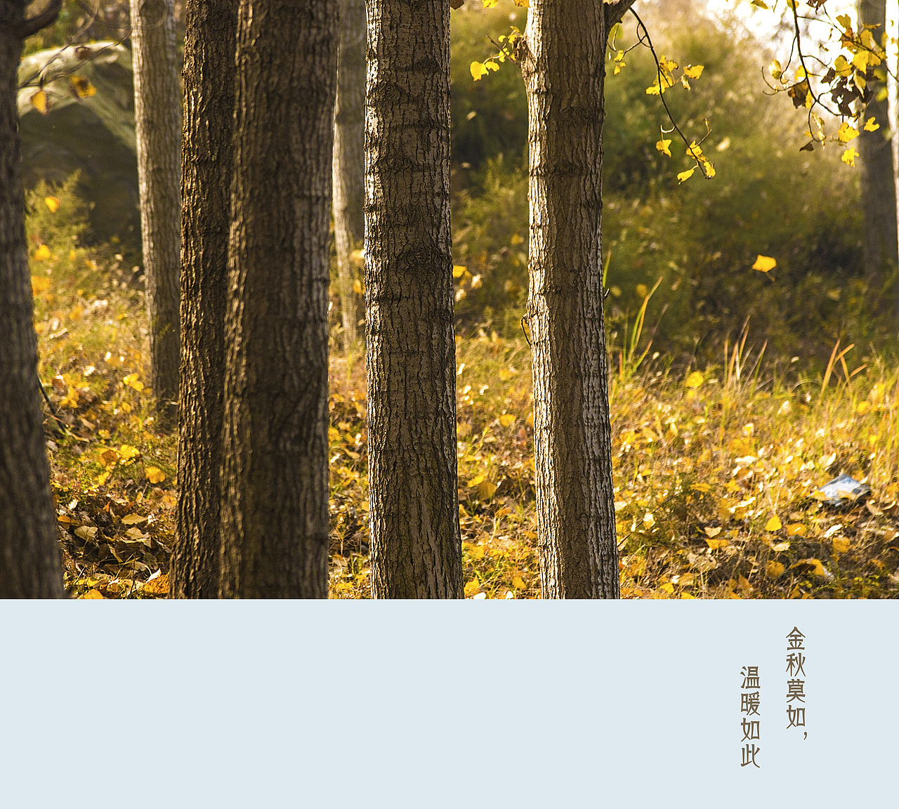 冬日秋色·莫如（图ZNjQ1NTIzNDg=） - 风光摄影 - 站酷设计师辰汇摄影原创素材 - 站酷ZCOOL