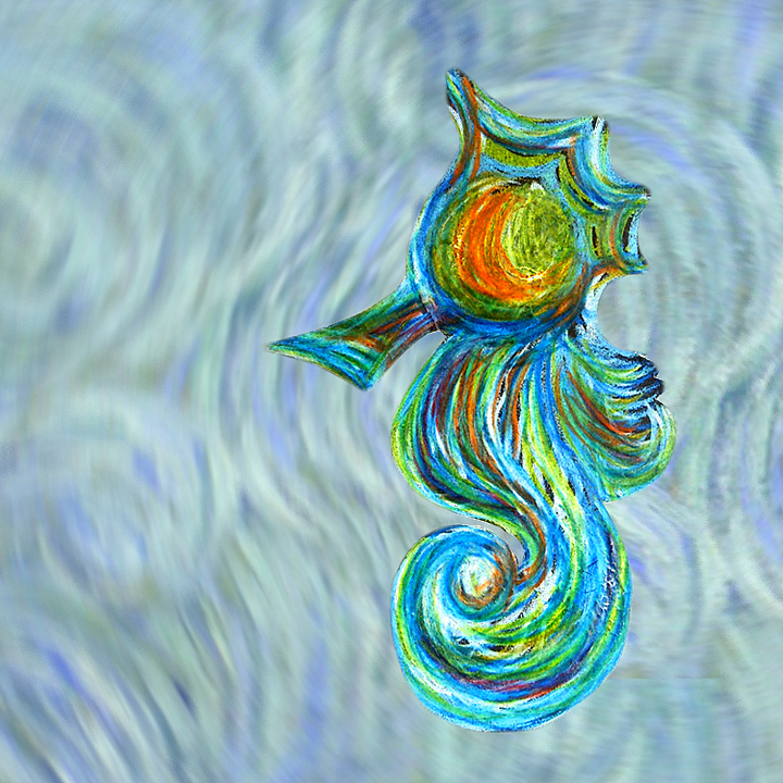 海马seahorse