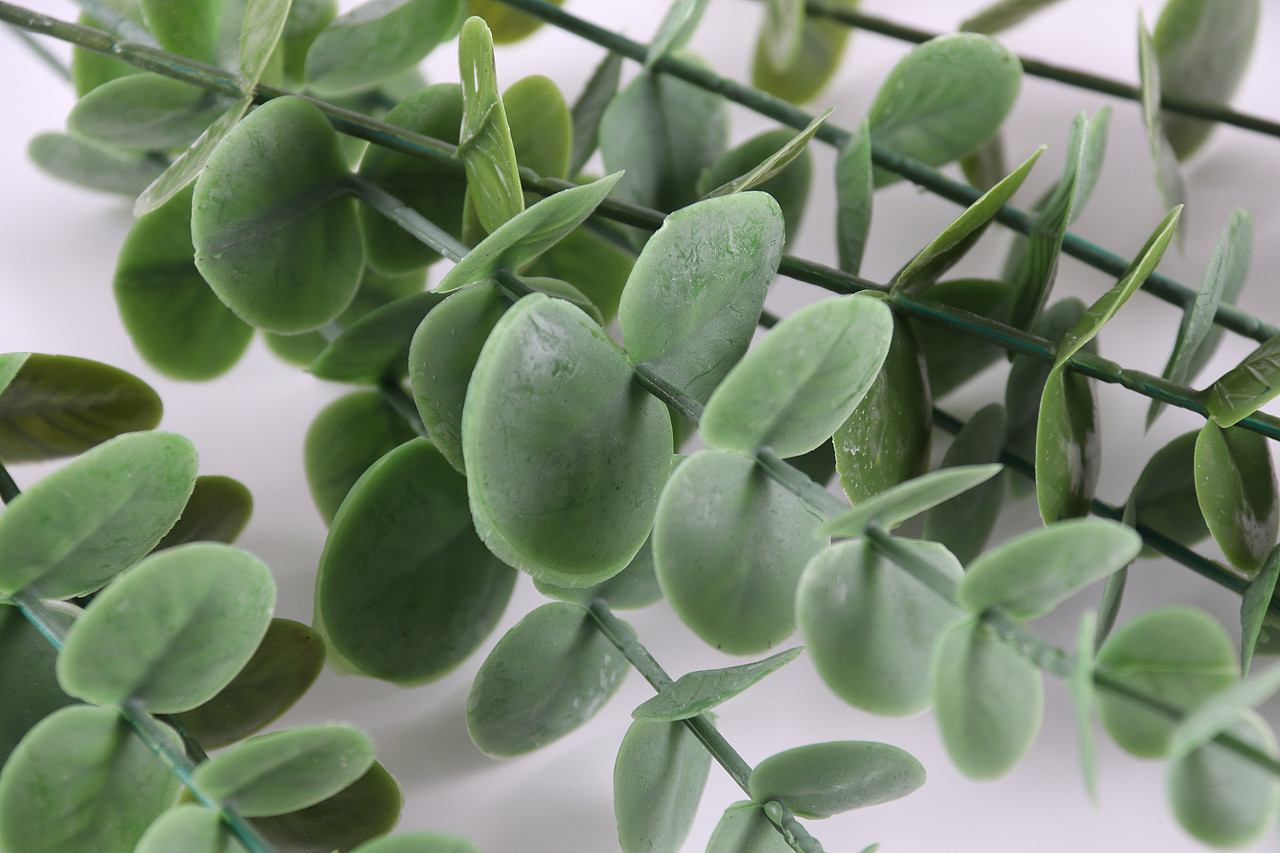 B03家居饰品\C11-仿真饰品\V06仿真尤加利叶X1