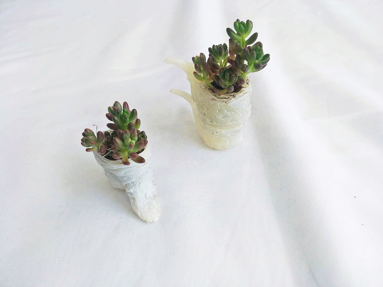 《诗经》中的昆虫（图ZMTcxMDk3NzQ0） - 手办/模玩 - 站酷设计师鱿小哉原创素材 - 站酷ZCOOL