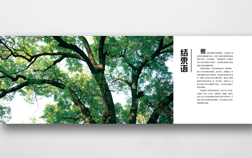 《家园规划师》画册+品牌设计