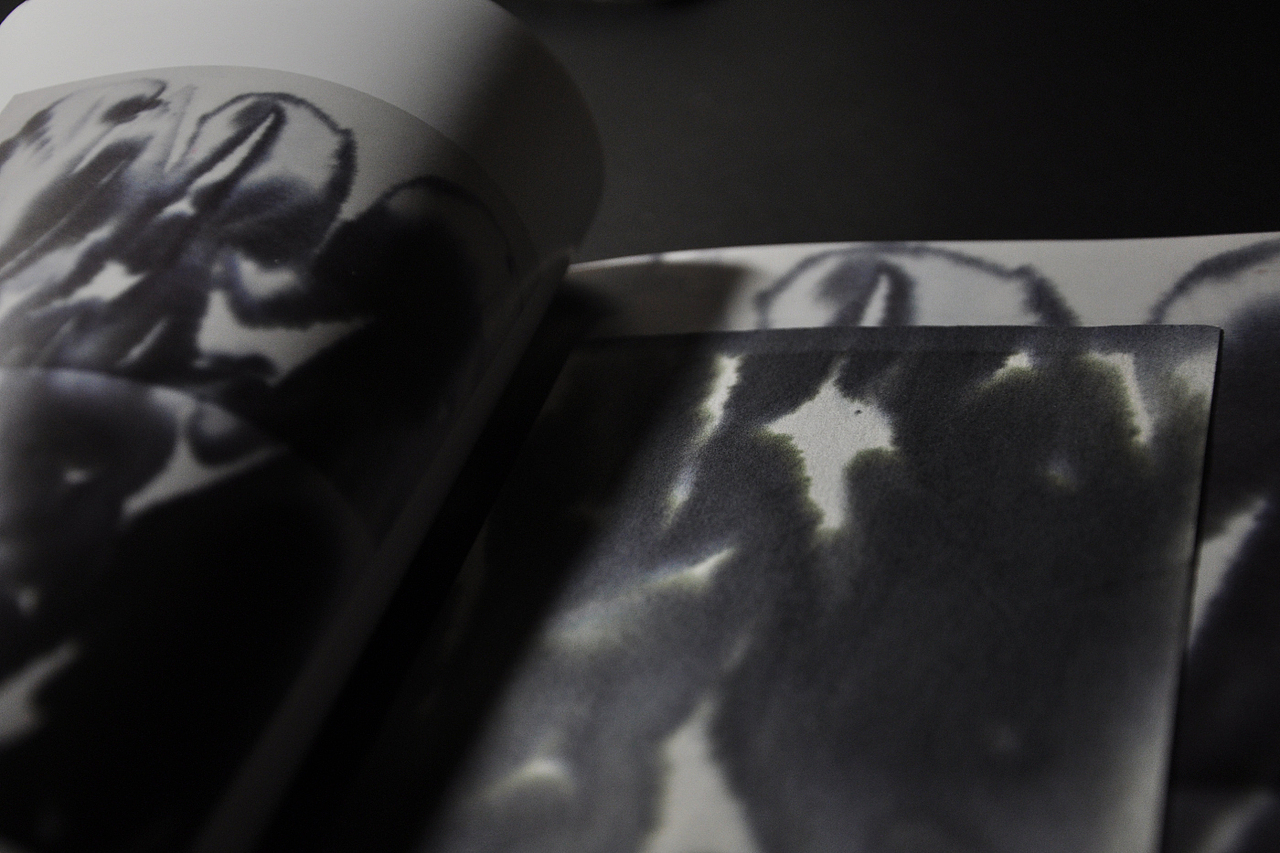 自然的痕迹 —— 迟来的毕业设计