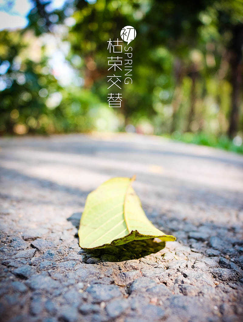初春，枯荣交替（图ZMjQ2MjM3MTY=） - 风光摄影 - 站酷设计师ccy崔原创素材 - 站酷ZCOOL