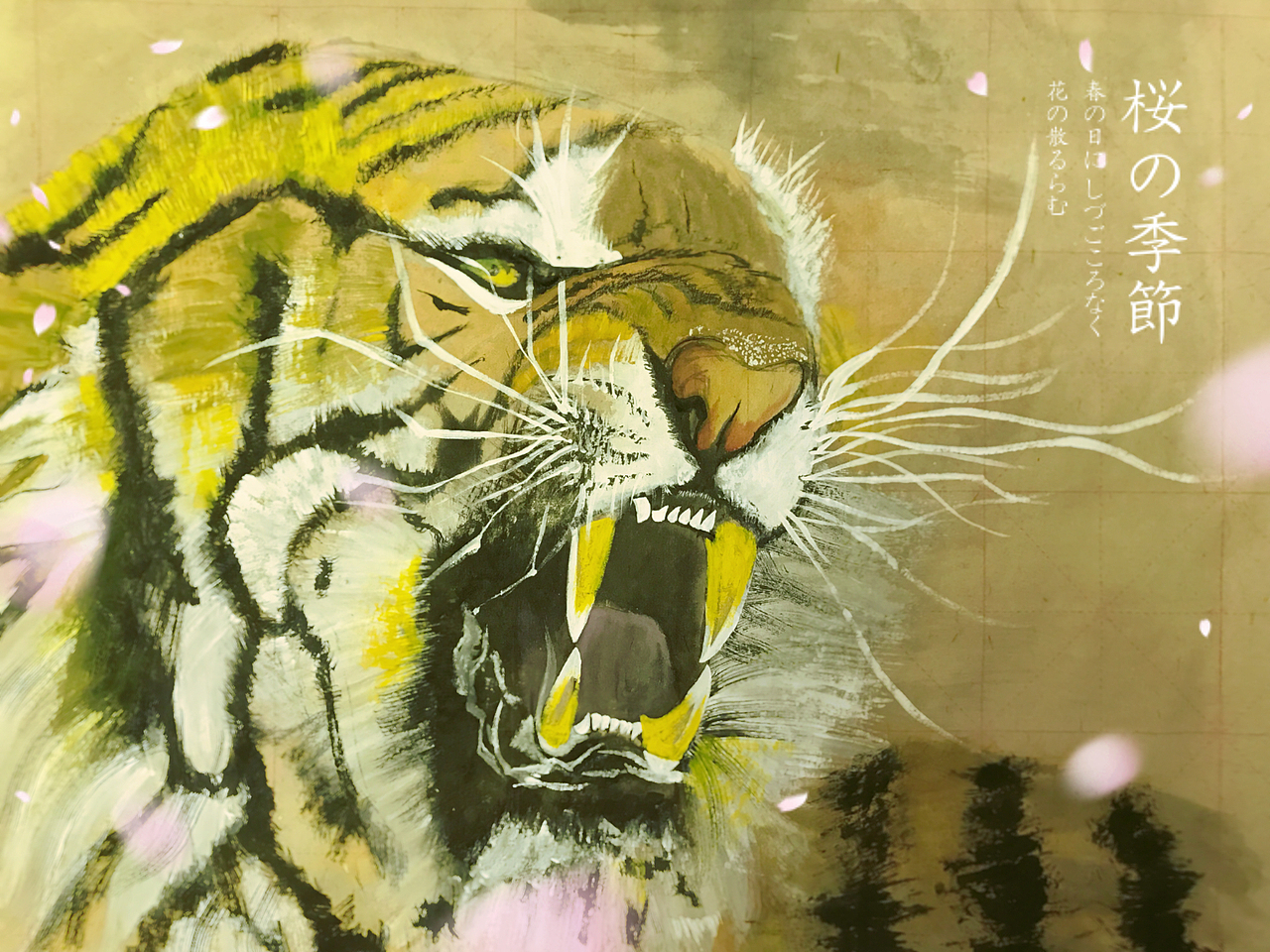 大貓凶猛。請注意（图ZMTU2NzQ0MDg0） - 艺术插画 - 站酷设计师Anti_chuen原创素材 - 站酷ZCOOL